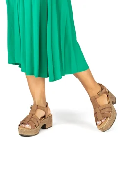 5890 Arbequina|El Naturalista New