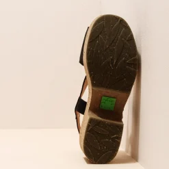 5893 Arbequina|El Naturalista Online