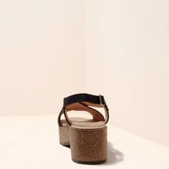 5893 Arbequina|El Naturalista Online