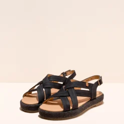 5882 Bosana|El Naturalista Store