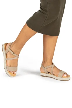 5881 Bosana|El Naturalista Sale