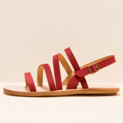 5711 Coratina|El Naturalista Outlet