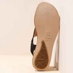 5710 Coratina|El Naturalista Flash Sale