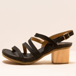 5565 Deba|El Naturalista Online