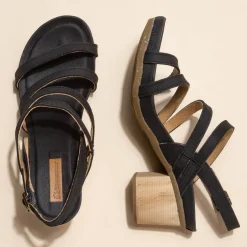 5565 Deba|El Naturalista Online