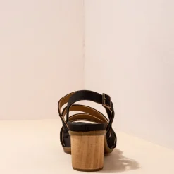 5565 Deba|El Naturalista Online