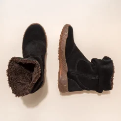 5624 Gorbea|El Naturalista New