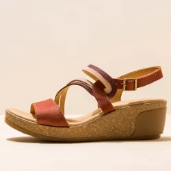 5019 Leaves|El Naturalista Online