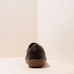 5751 Meteo|El Naturalista Cheap