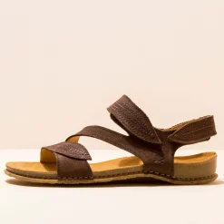 5810 Panglao|El Naturalista Sale