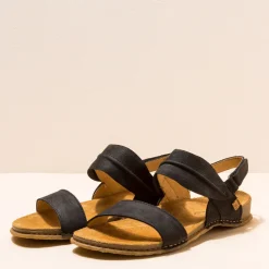 5814 Panglao|El Naturalista Online