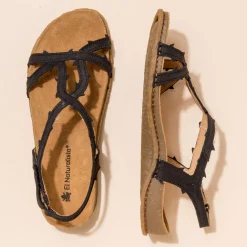 5815 Panglao|El Naturalista Cheap