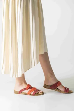 5812 Panglao|El Naturalista Best