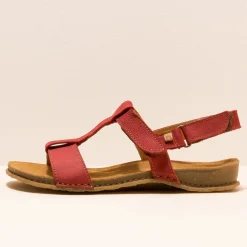 5816 Panglao|El Naturalista Store