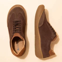 5766 Pawikan|El Naturalista Clearance