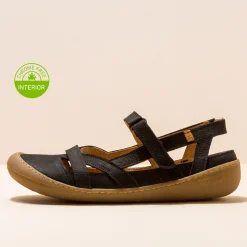 5776 Pawikan|El Naturalista Flash Sale