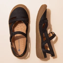 5776 Pawikan|El Naturalista Flash Sale