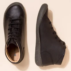 5773 Pawikan|El Naturalista Best Sale