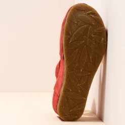 5851 Picual|El Naturalista Discount