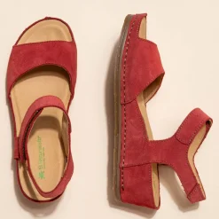 5851 Picual|El Naturalista Discount