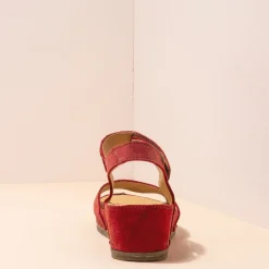 5851 Picual|El Naturalista Discount