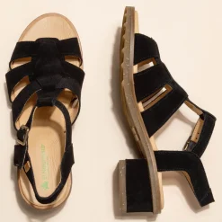 5800 Sabal|El Naturalista Clearance