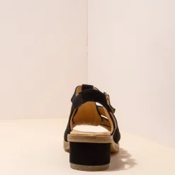 5800 Sabal|El Naturalista Clearance