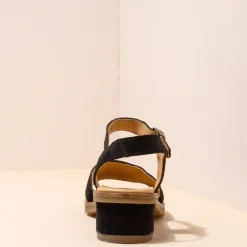 5801 Sabal|El Naturalista Flash Sale