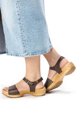 5831 Shokunin|El Naturalista New