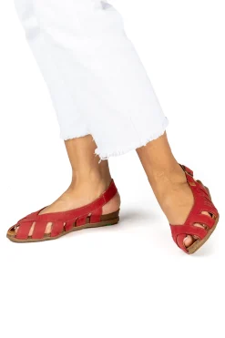 5213 Stella|El Naturalista Shop