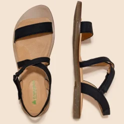 5196 Tulip|El Naturalista Store