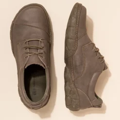 5089 Turtle|El Naturalista Cheap