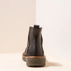 5570 Volcano|El Naturalista Shop