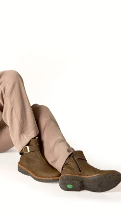 5580 Volcano|El Naturalista Best