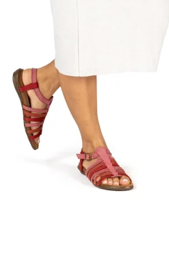 5056 Wakataua|El Naturalista Best Sale