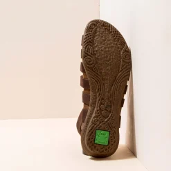 5069 Wakataua|El Naturalista New