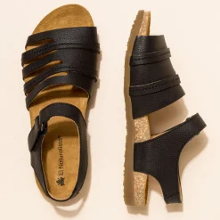 5247 Zumaia|El Naturalista Store