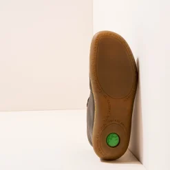 N267 El Viajero|El Naturalista New