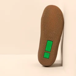 5779P Pawikan|El Naturalista New