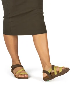 5079S Wakataua|El Naturalista Store