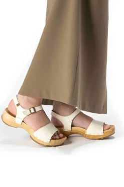 5831T Shokunin|El Naturalista Best