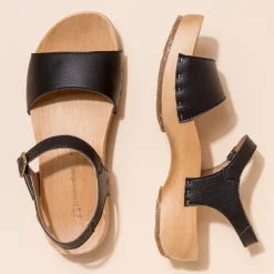 5831T Shokunin|El Naturalista Best